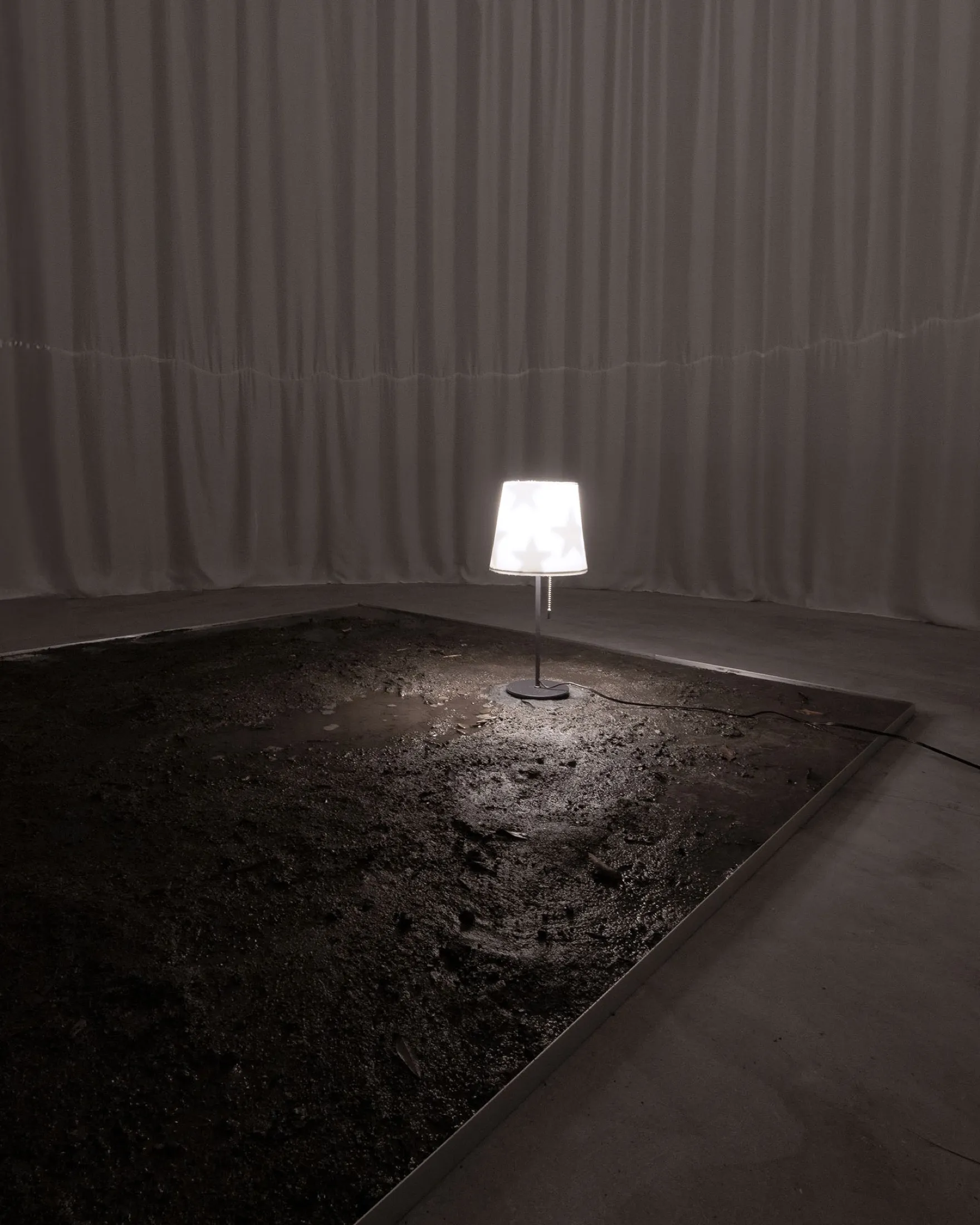 Claudia and Jamie — 2024, Soil, lamp, coins, Dimensions variable, by Taka Kono