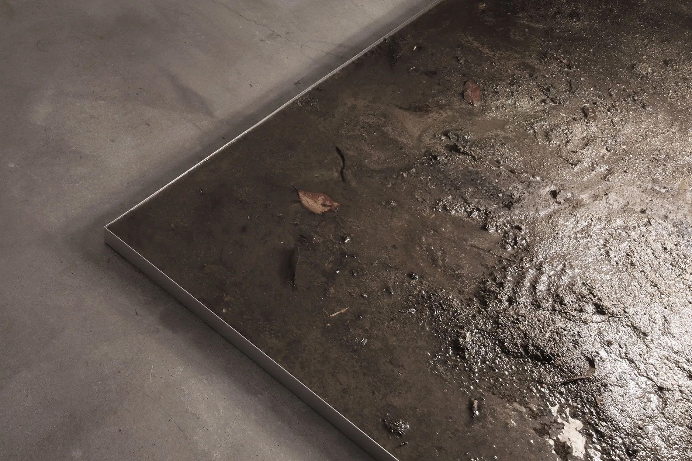 Claudia and Jamie — 2024, Soil, lamp, coins, Dimensions variable, by Taka Kono