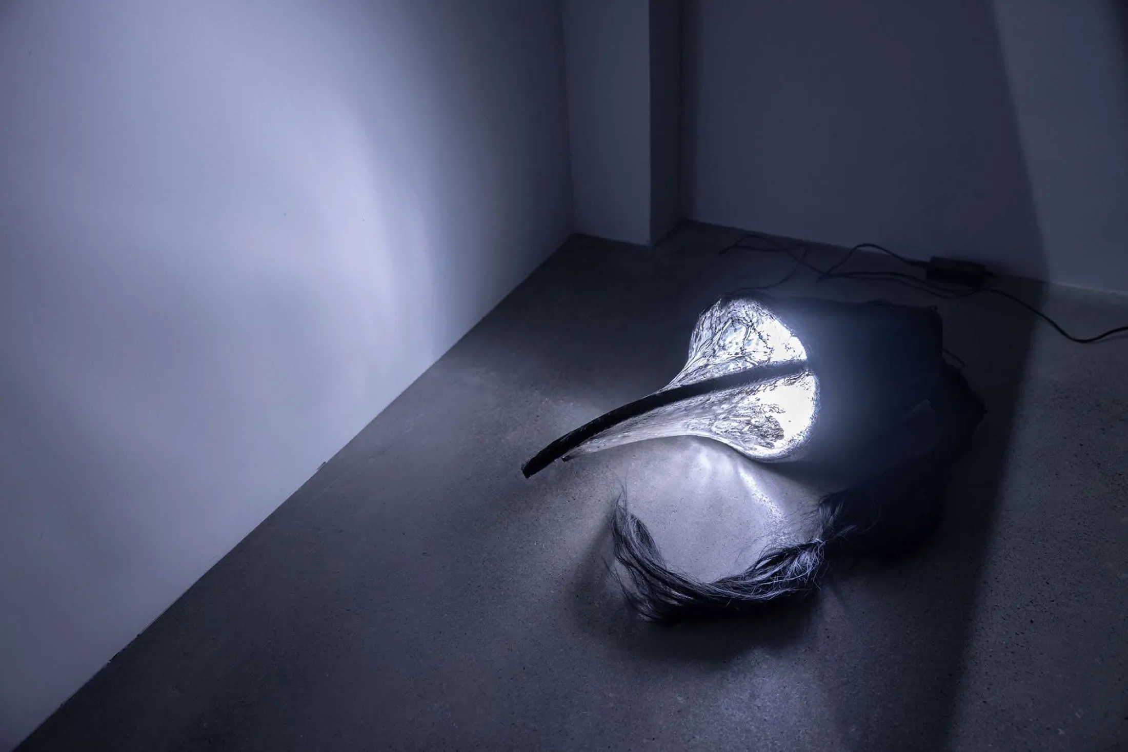 Drain water chrysalis — 2023, Epoxy resin, hair, copper, ink, river water from Matsudo, 50 × 150 × 20 cm, by Taka Kono