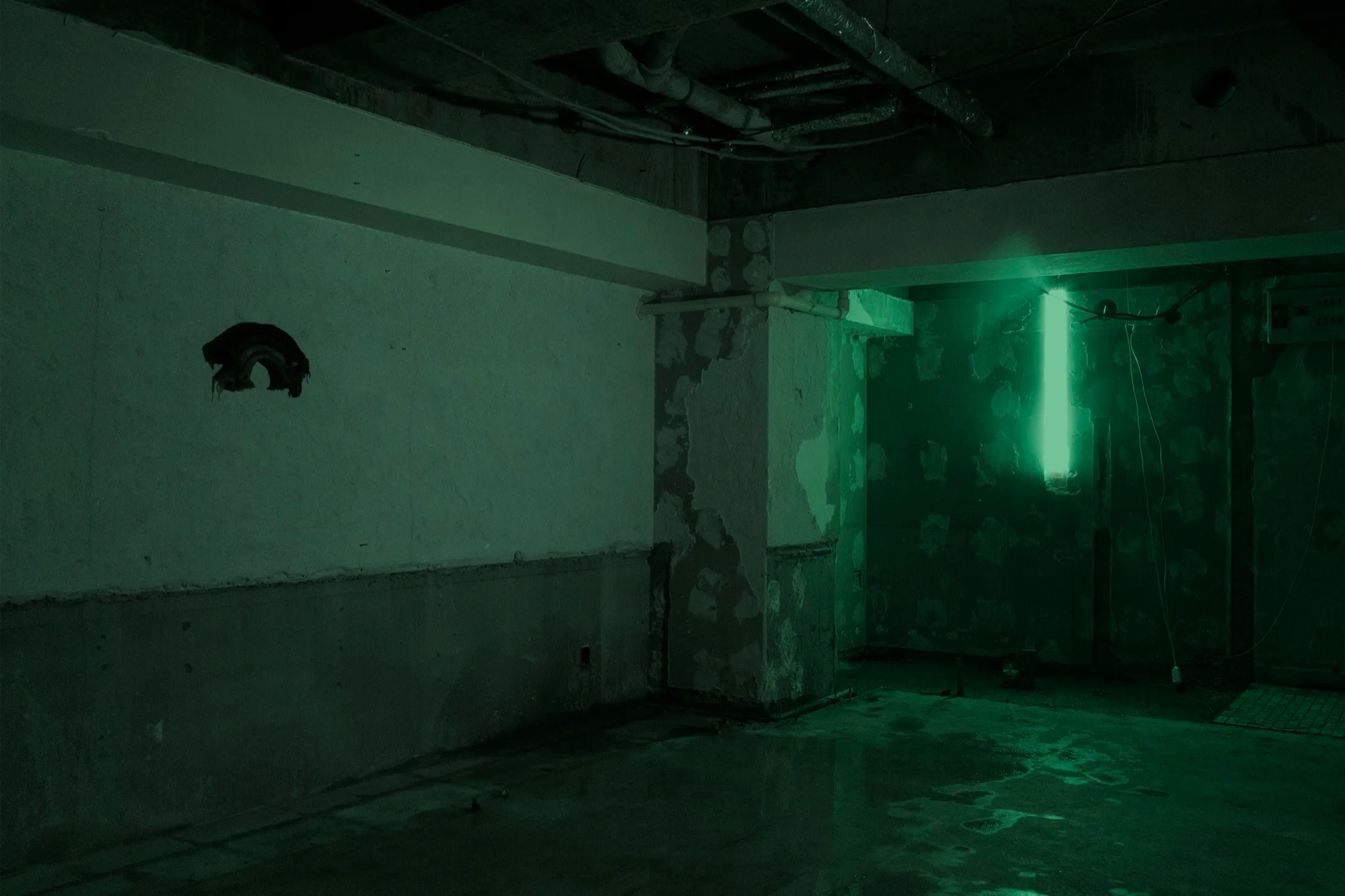 dream knowledge, no, ledge, noh, no knowledge — Installation view, by Taka Kono