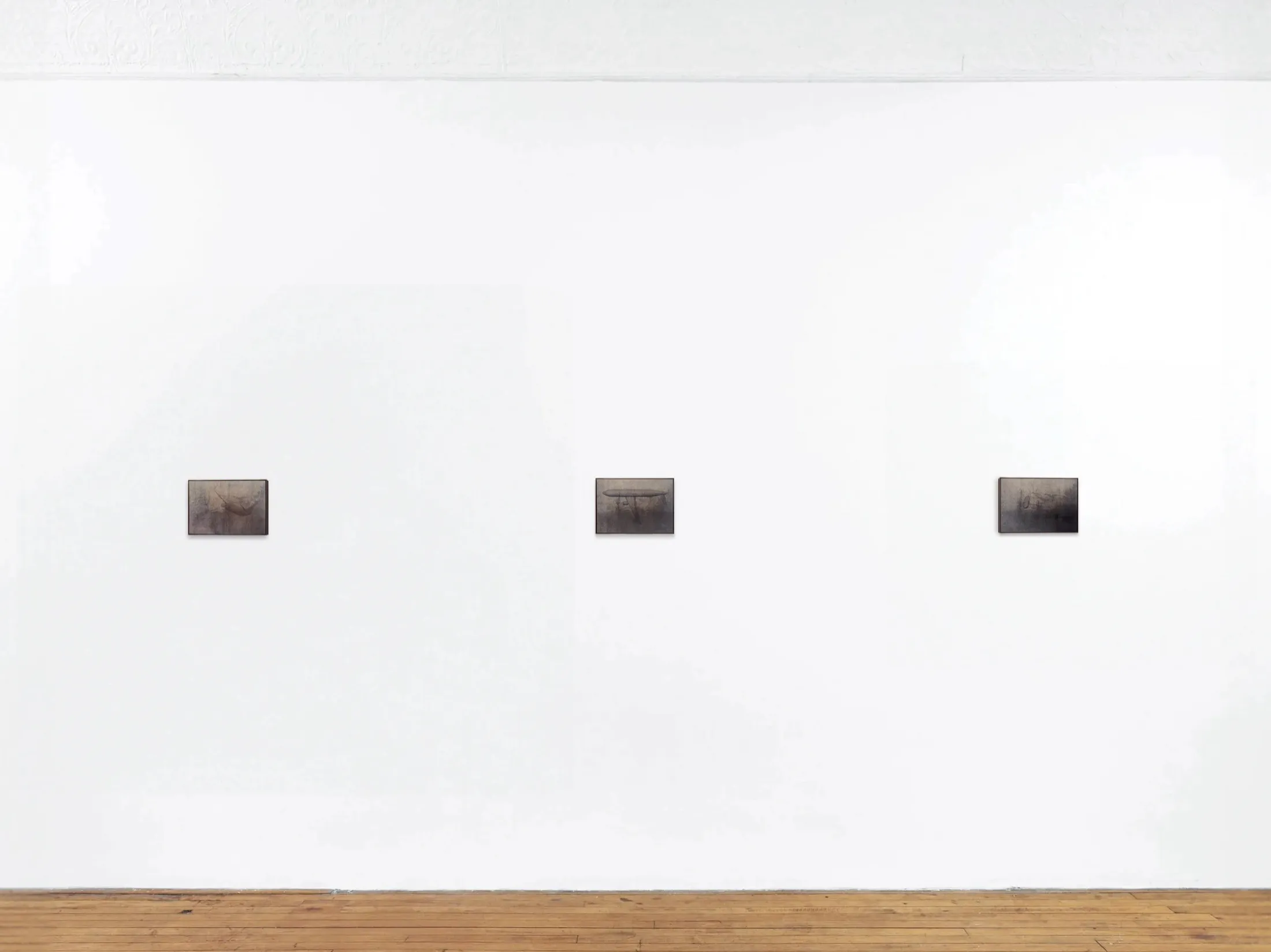 Tree Line — Installation view, by Taka Kono